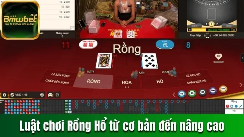 Luật chơi Rồng Hổ từ cơ bản đến nâng cao