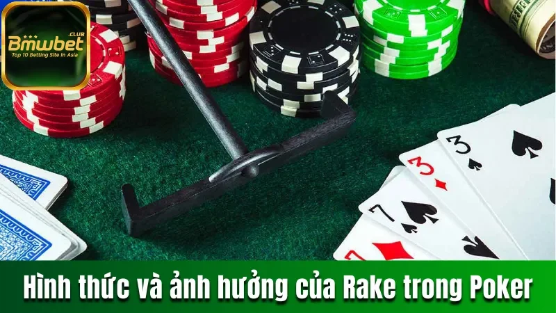 Rake trong Poker
